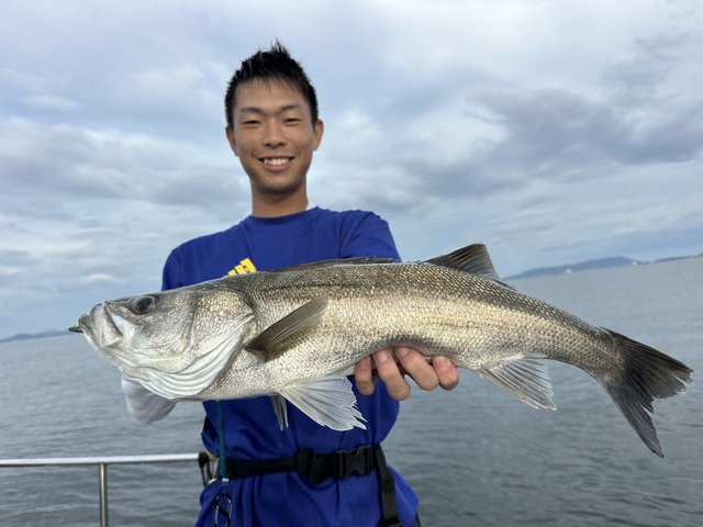 シーバス(スズキ)