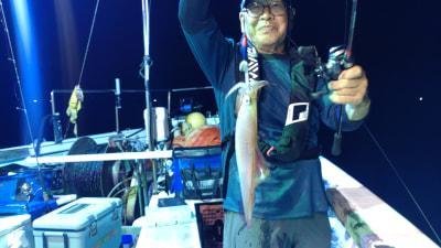 マイカ(ケンサキイカ)