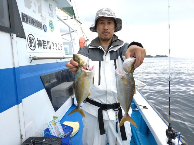 ショゴ(カンパチ)