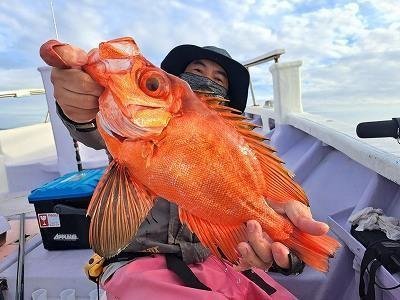 キントキ(チカメキントキ)