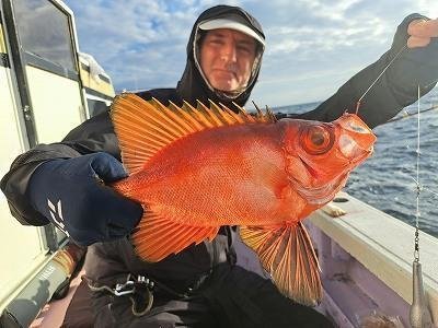 キントキ(チカメキントキ)