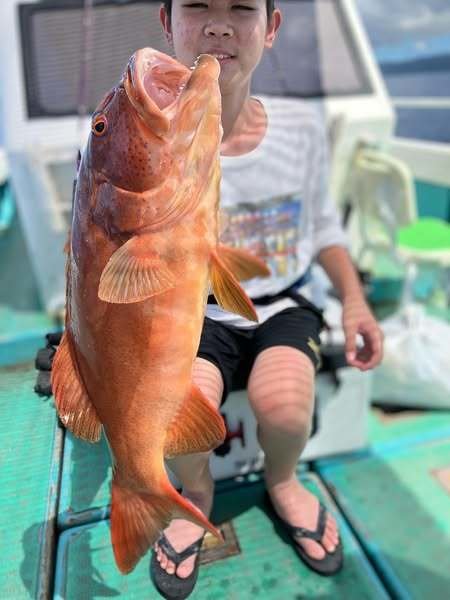 アカジン(スジアラ)