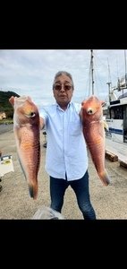 アマダイ(アカアマダイ)