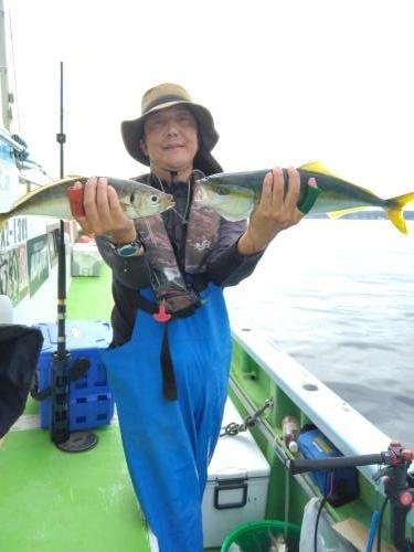 ヒラソーダ(ヒラソウダ)