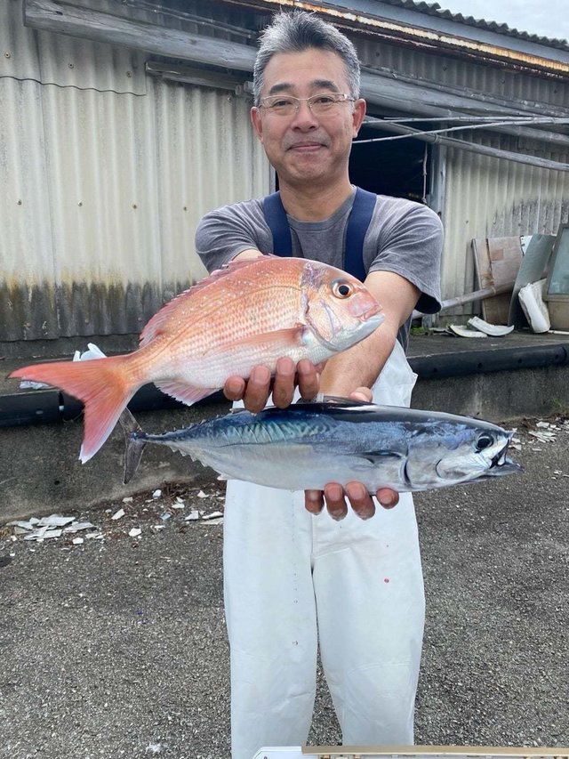 シマアジ・ヒラソウダ