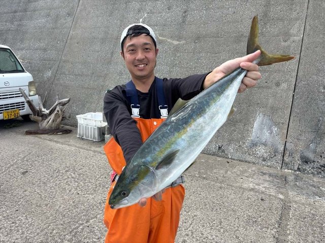 イナワラ(ブリ)