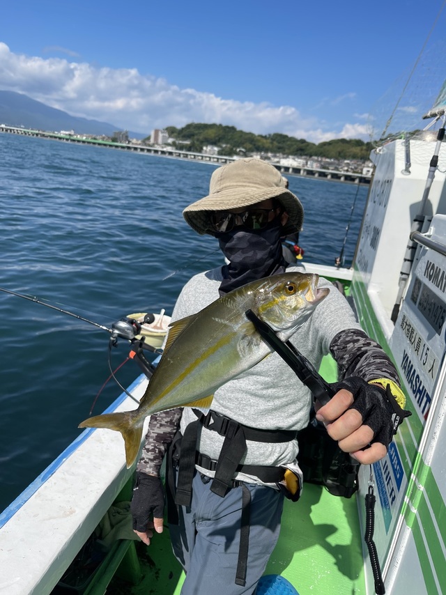 ショゴ(カンパチ)