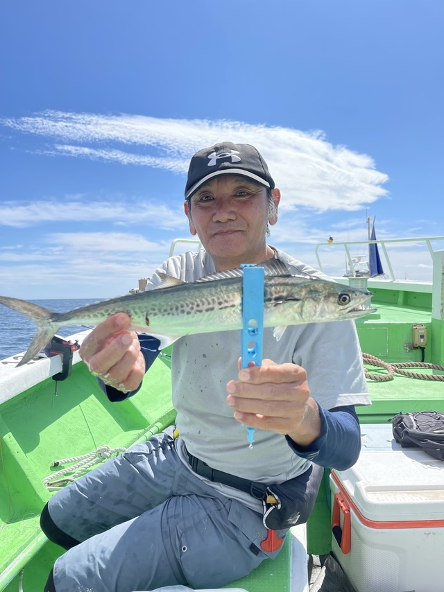 サゴシ(サワラ)