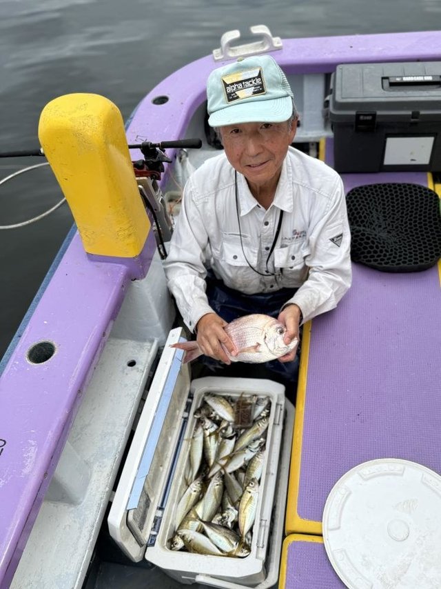 マダイ・アジ(マアジ)