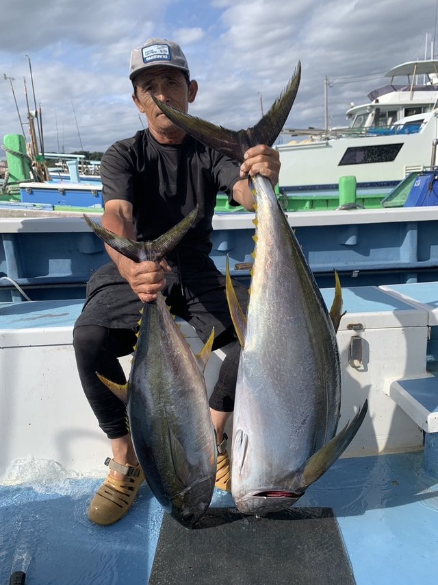 キハダマグロ(キハダ)