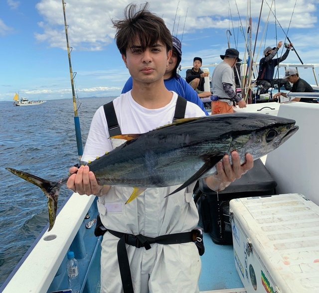 キハダマグロ(キハダ)