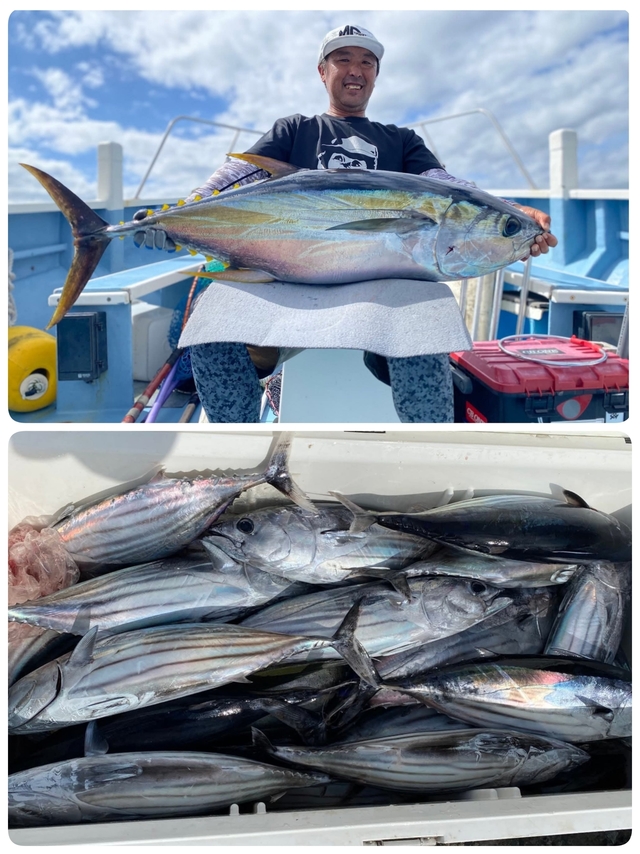 キハダマグロ(キハダ)