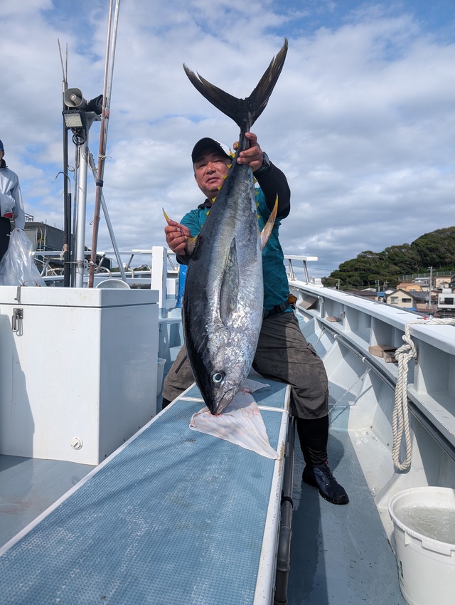 キハダマグロ(キハダ)