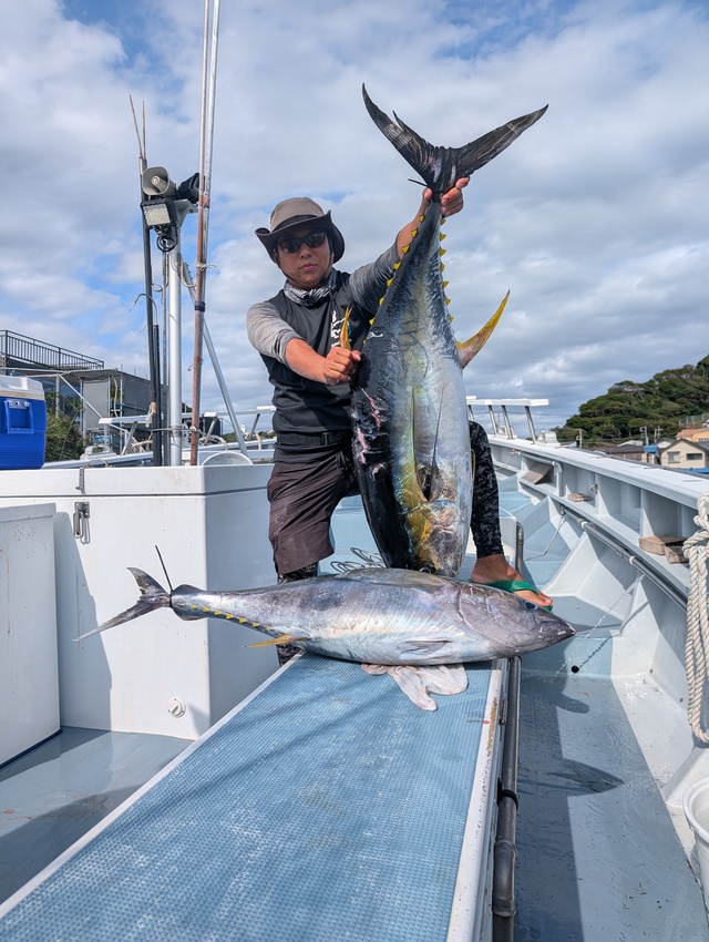 キハダマグロ(キハダ)