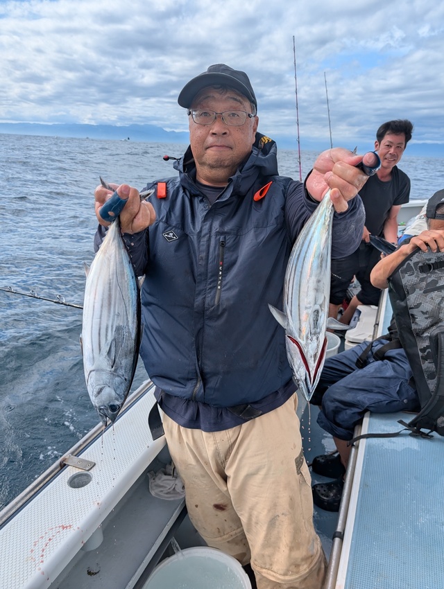 ホンガツオ(カツオ)