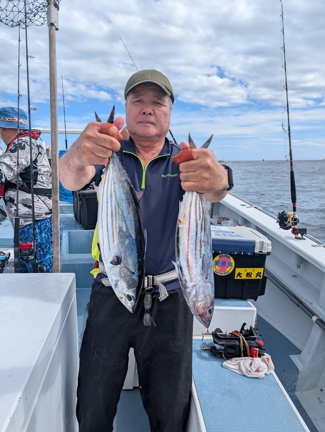 ホンガツオ(カツオ)