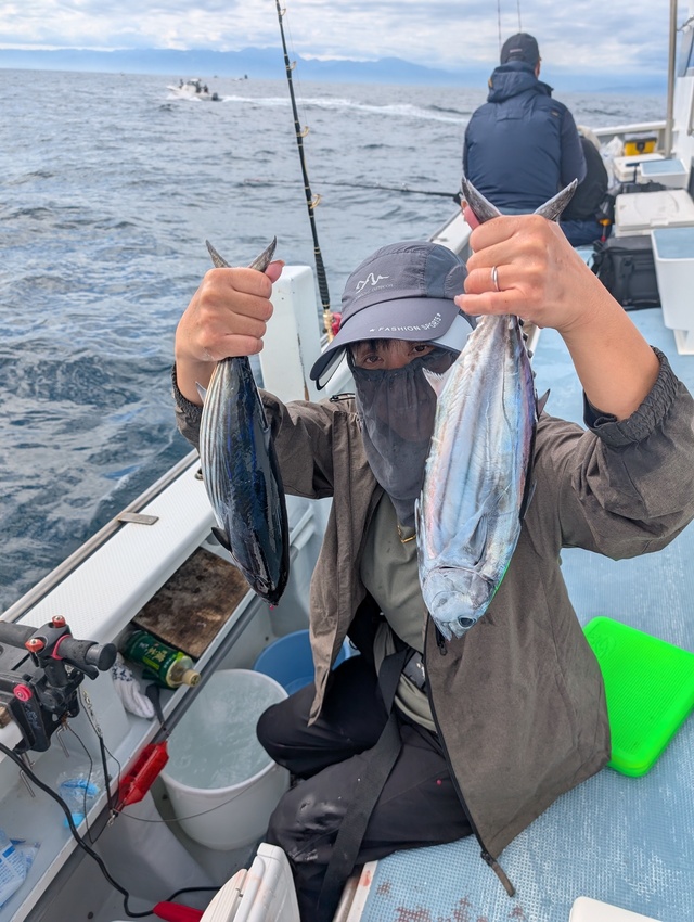 ホンガツオ(カツオ)