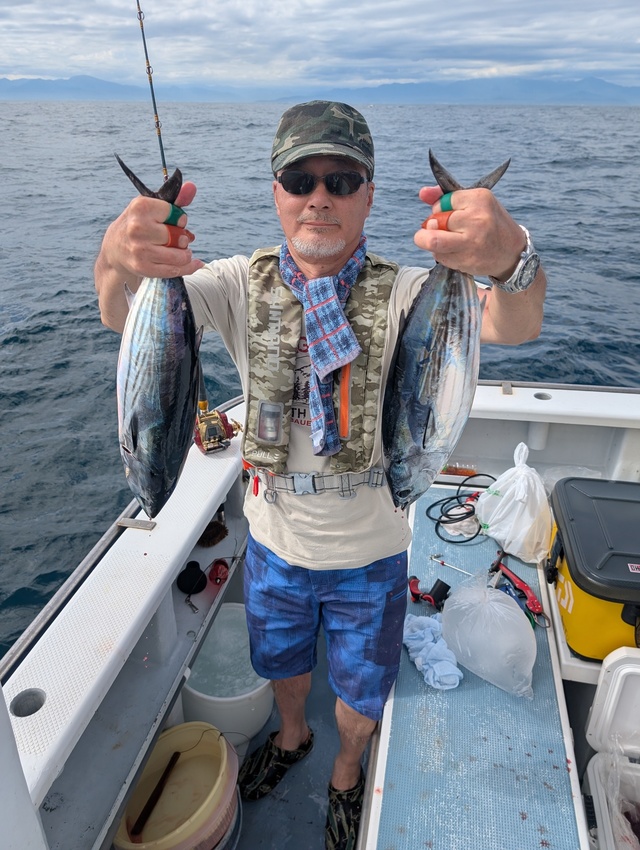 ホンガツオ(カツオ)