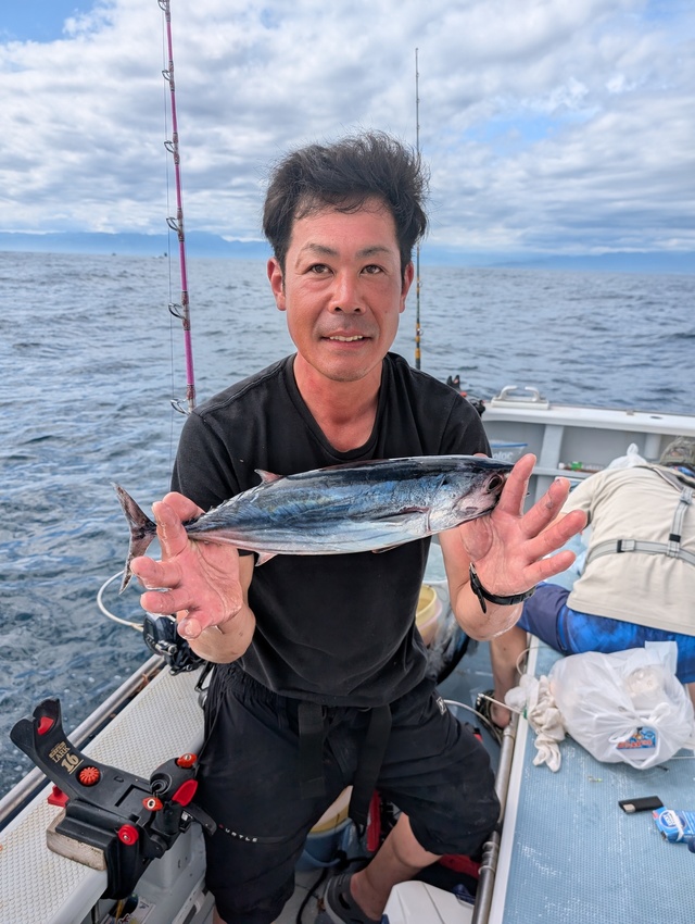 ホンガツオ(カツオ)