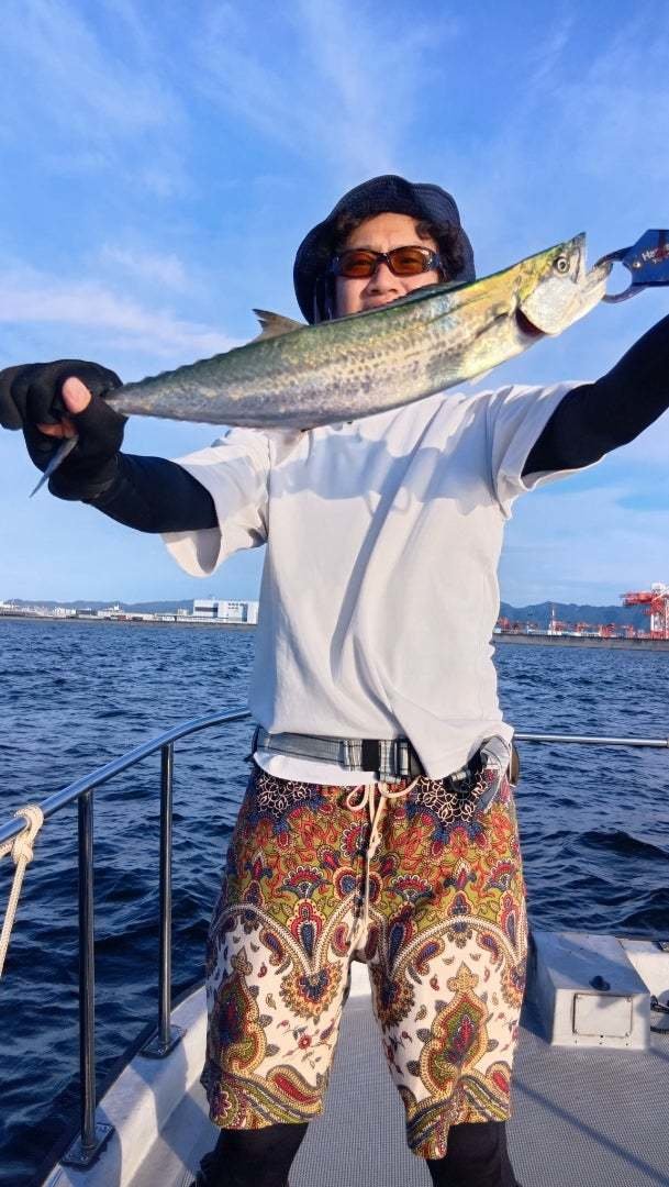 サゴシ(サワラ)