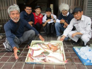 マダイ・イトヨリ(イトヨリダイ)・カサゴ・カワハギ