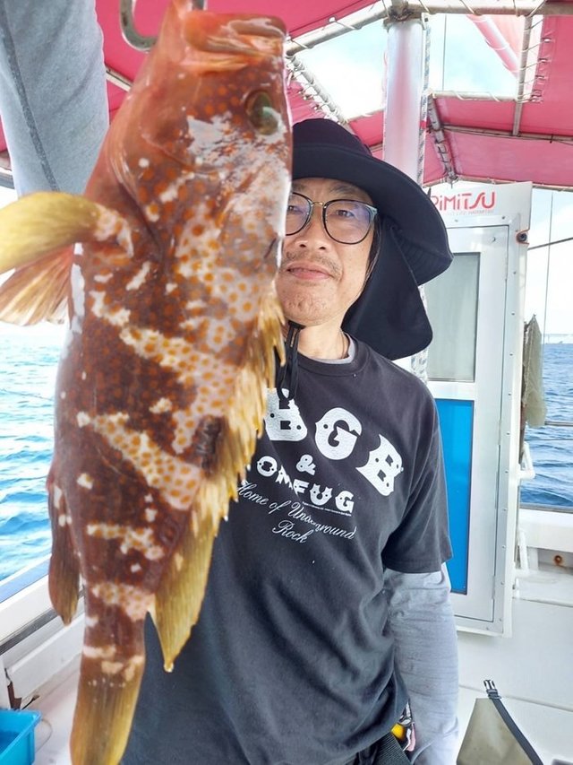 アコウ(キジハタ)