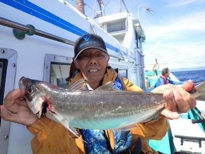 イサギ(イサキ)