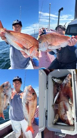 マダイ・アジ(マアジ)