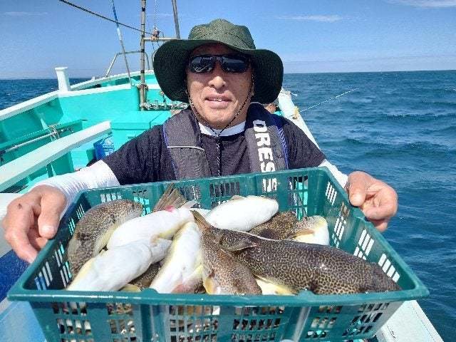 ショウサイフグ