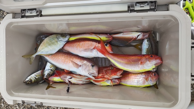 アジ(マアジ)・アカアマダイ・シロアマダイ・イトヨリ(イトヨリダイ)