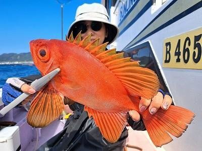 キントキ(チカメキントキ)