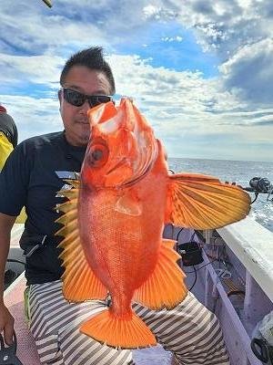 キントキ(チカメキントキ)