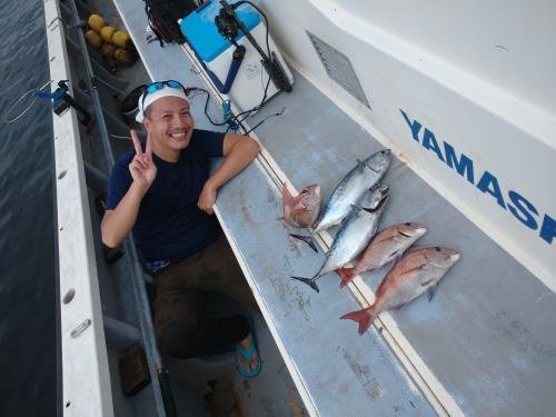 マダイ・ハガツオ