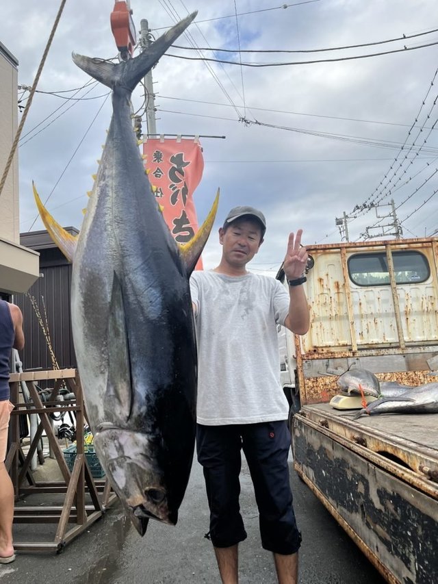 キメジ(キハダ)