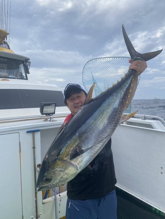 キメジ(キハダ)