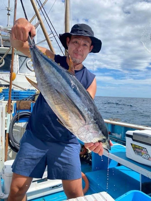 キメジ(キハダ)