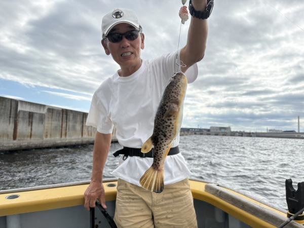 ショウサイフグ