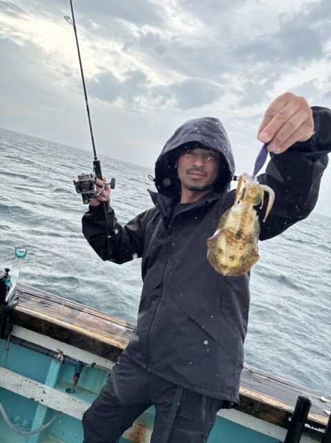 アオリ(アオリイカ)