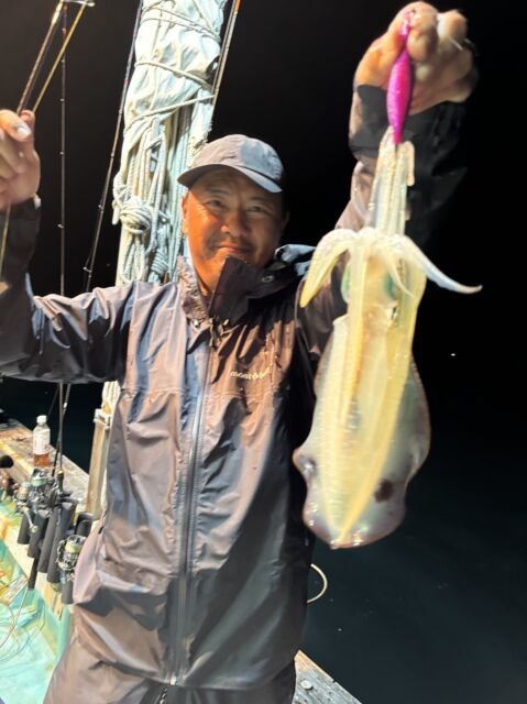 アオリ(アオリイカ)