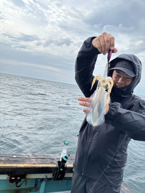 アオリ(アオリイカ)