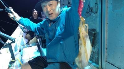 モンゴウイカ(カミナリイカ)