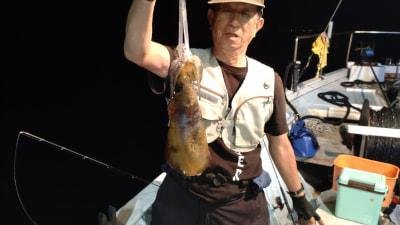 モンゴウイカ(カミナリイカ)