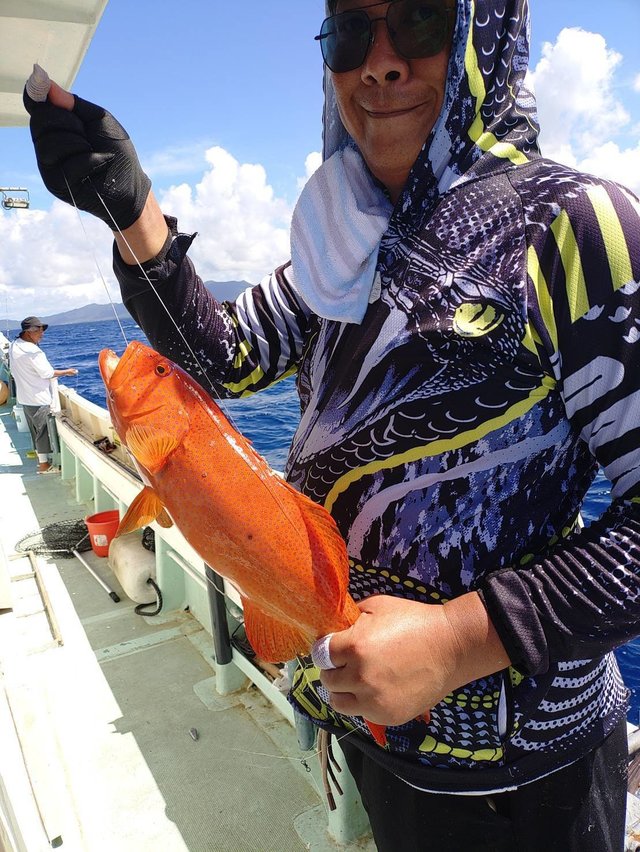 アカジン(スジアラ)