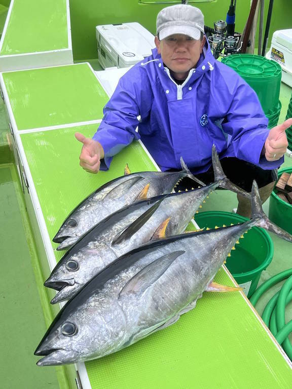 キメジ(キハダ)