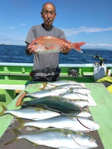 マダイ・イナダ(ブリ)