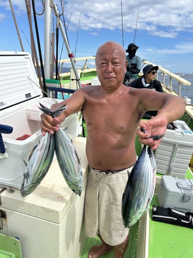 ホンガツオ(カツオ)