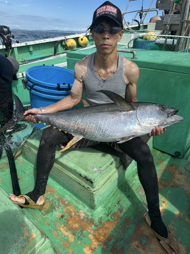 キメジ(キハダ)