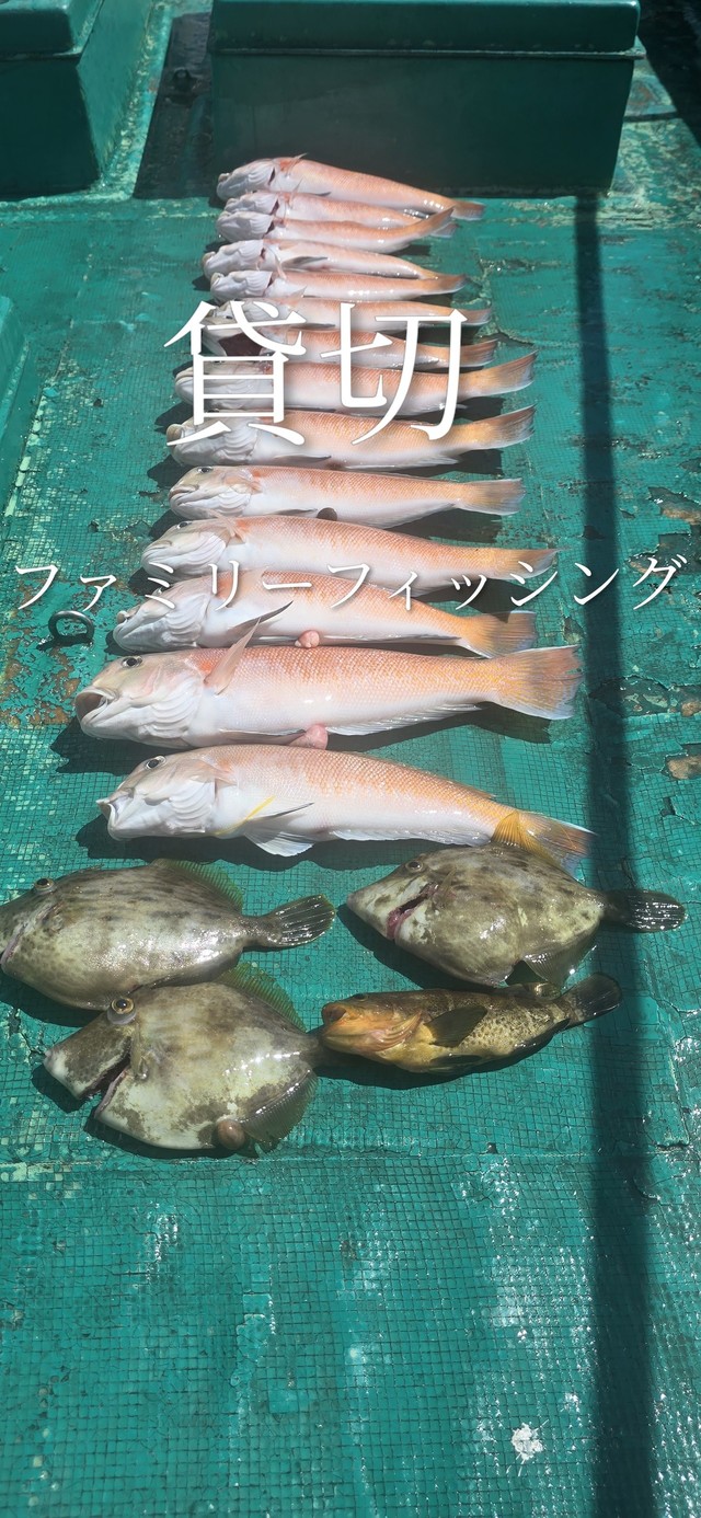 シロアマダイ・カワハギ