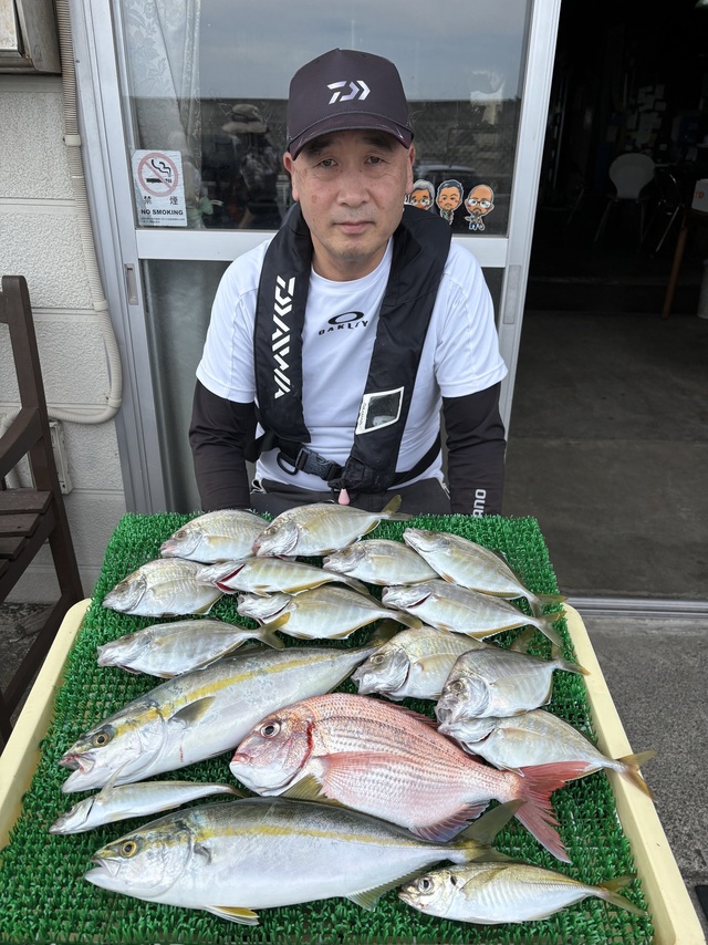 ハナダイ(チダイ)・カイワリ・イナダ(ブリ)