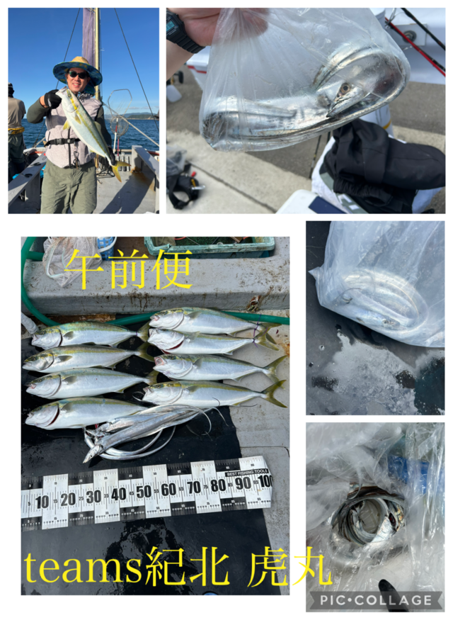 メジロ(ブリ)・タチウオ